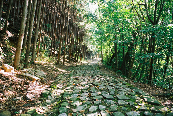 Yagyu Kaido, The village of swordsmen Hiking