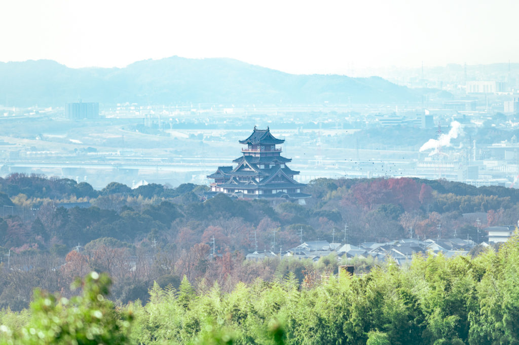 Fujimori shrine hydrangea and Mt.Oiwa overlooking Fushimi-Momoyama Castle and a large staircase Fushimi-Momoyama Mausoleum