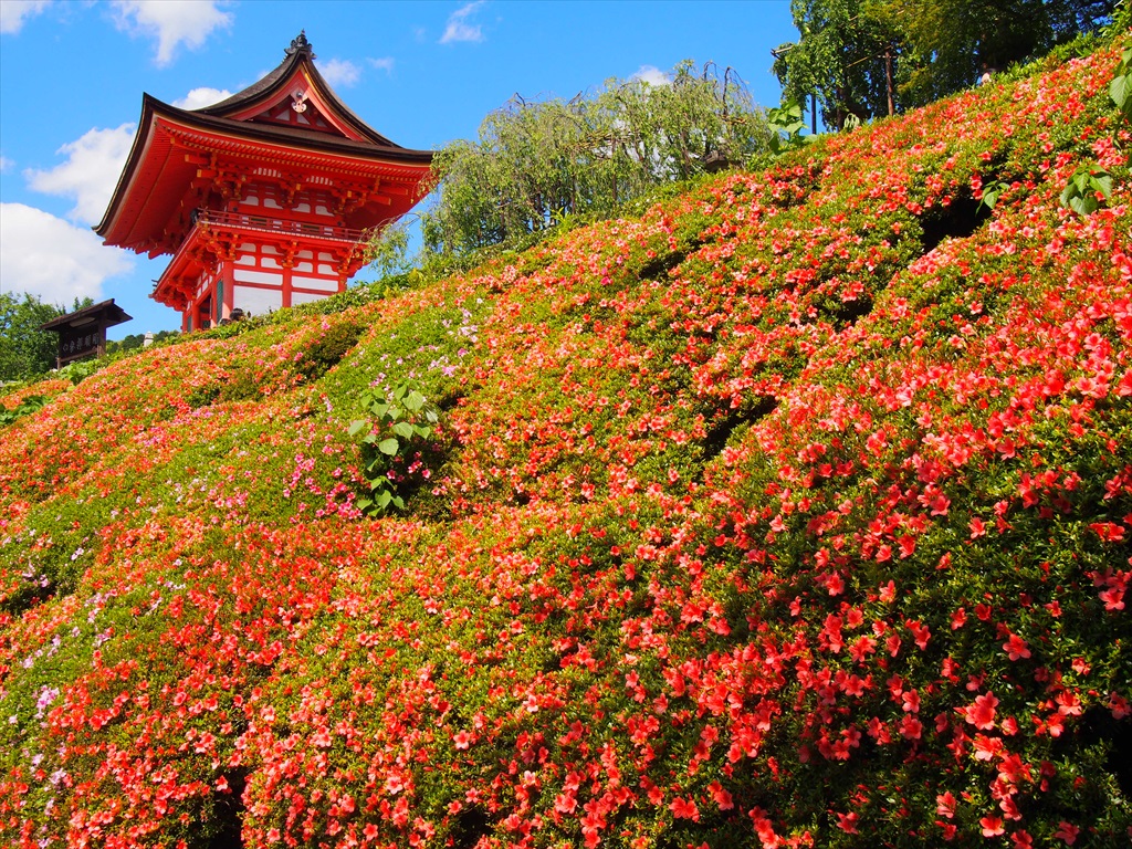 Kyoto Trail Higashiyama Course World Heritage Traverse from Fushimi Inari Shrine to Kiyomizu Temple