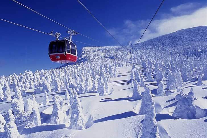 世界に誇る雪の造形美　蔵王スノーモンスター鑑賞&スノーシュー体験