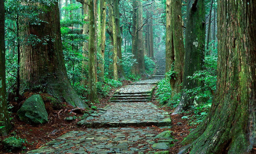 苔むした石畳と潮風香る熊野灘　熊野那智大社＆熊野速玉大社へ　熊野古道ハイキング