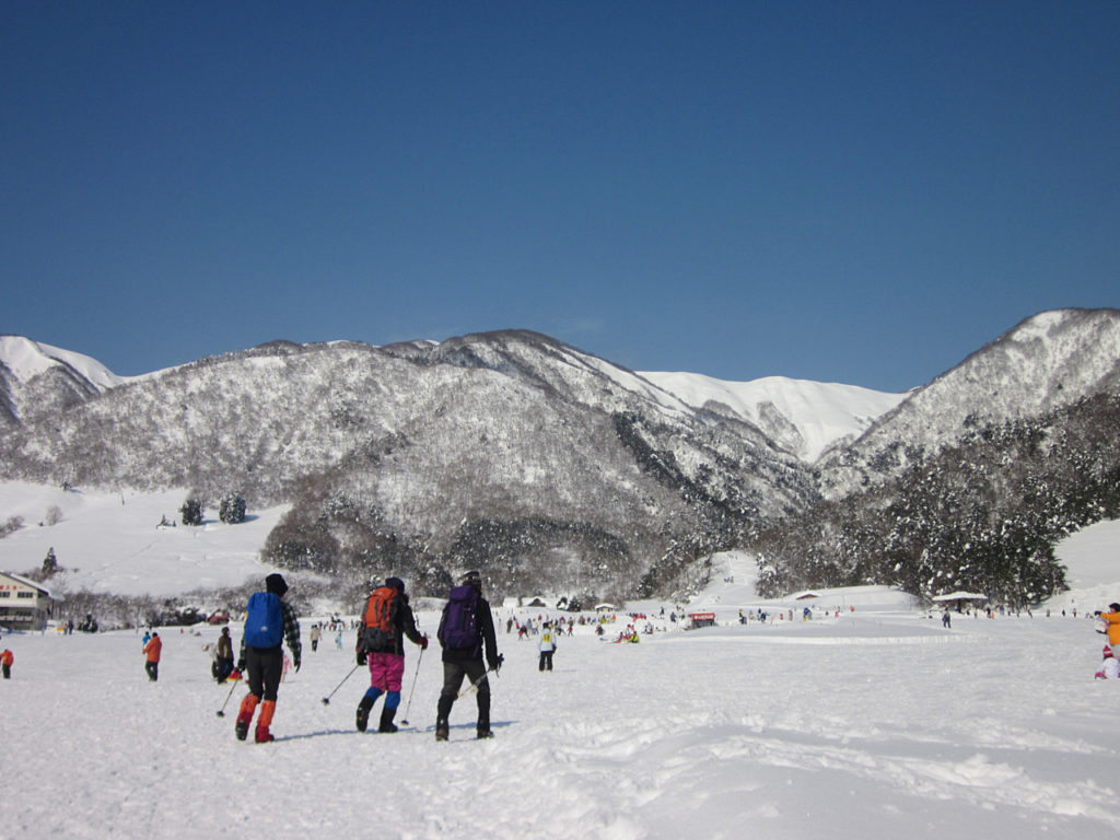 マキノ高原スノーシュー体験＆メタセコイア並木