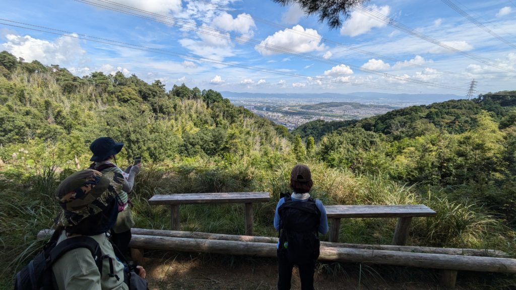 秀吉も歩いた太閤道　若山ハイキングとパン食べ放題洋食ランチ