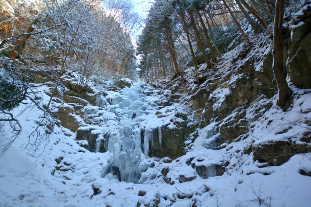 氷瀑が有名な金剛山　ツツジオ谷ハイキング
