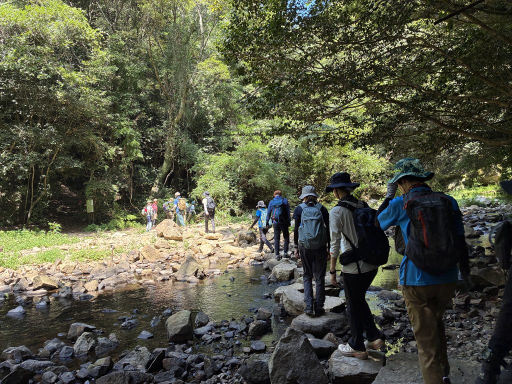 トゥエンティクロスと春を見つける森林植物園ハイキング