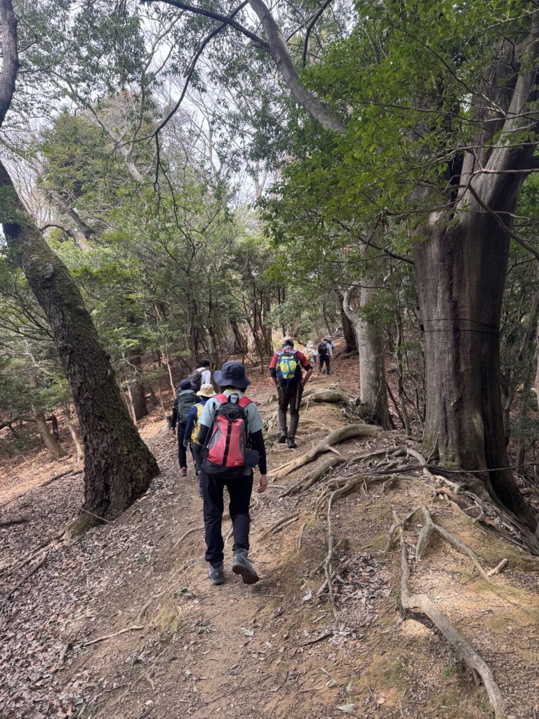 山の学校その②六個山から五月山へ　低山縦走ハイキング