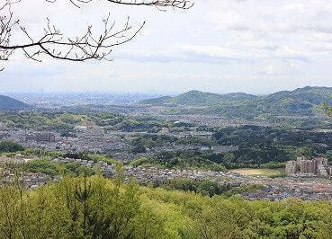 【参考動画有り】穴場の里山「雨森山」周回ハイキング