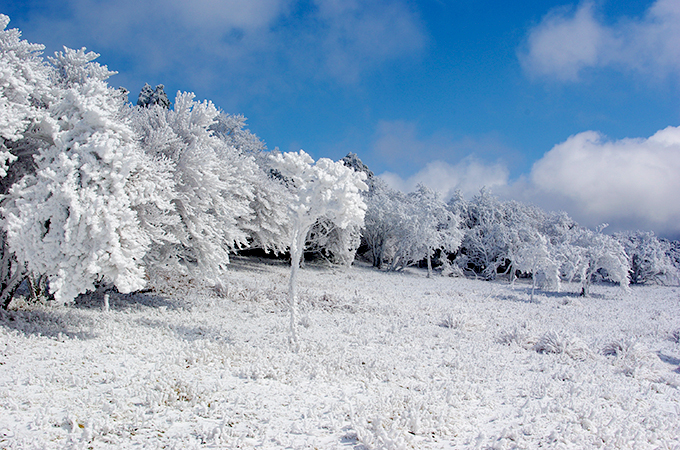 三峰山霧氷まつりハイキング