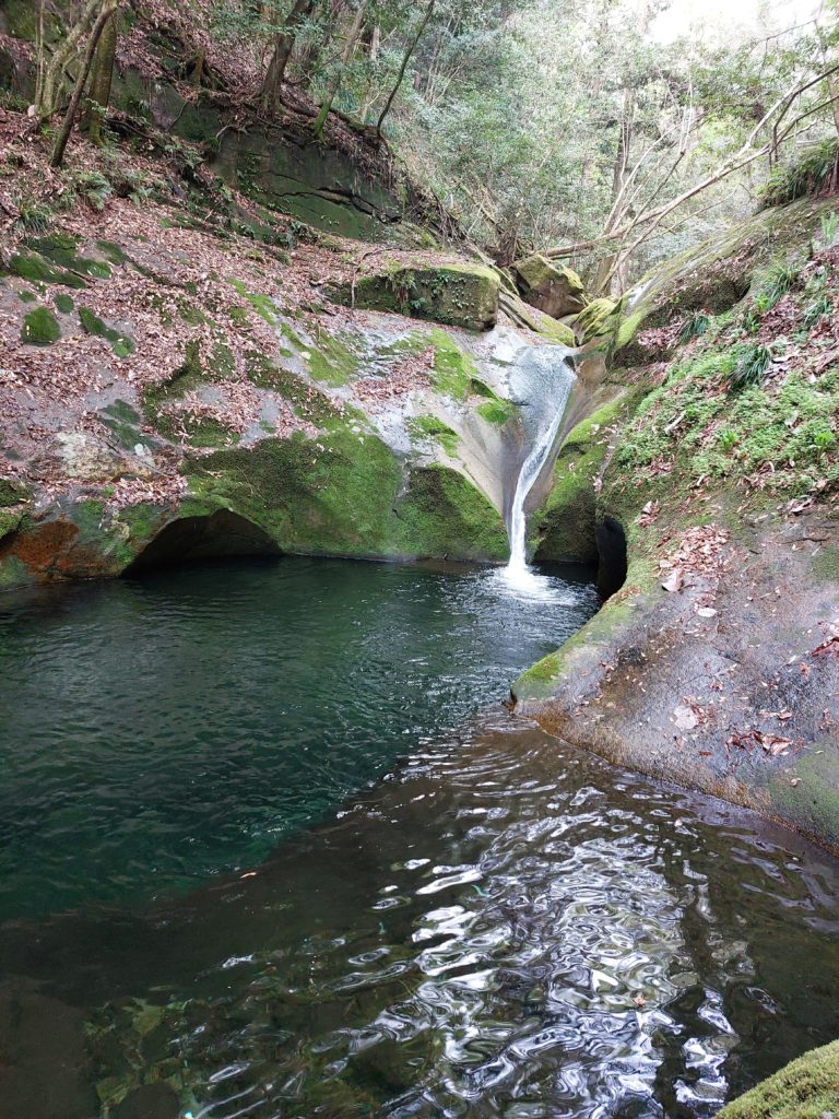 神秘的な龍鎮渓谷とシャクナゲの室生寺ハイキング