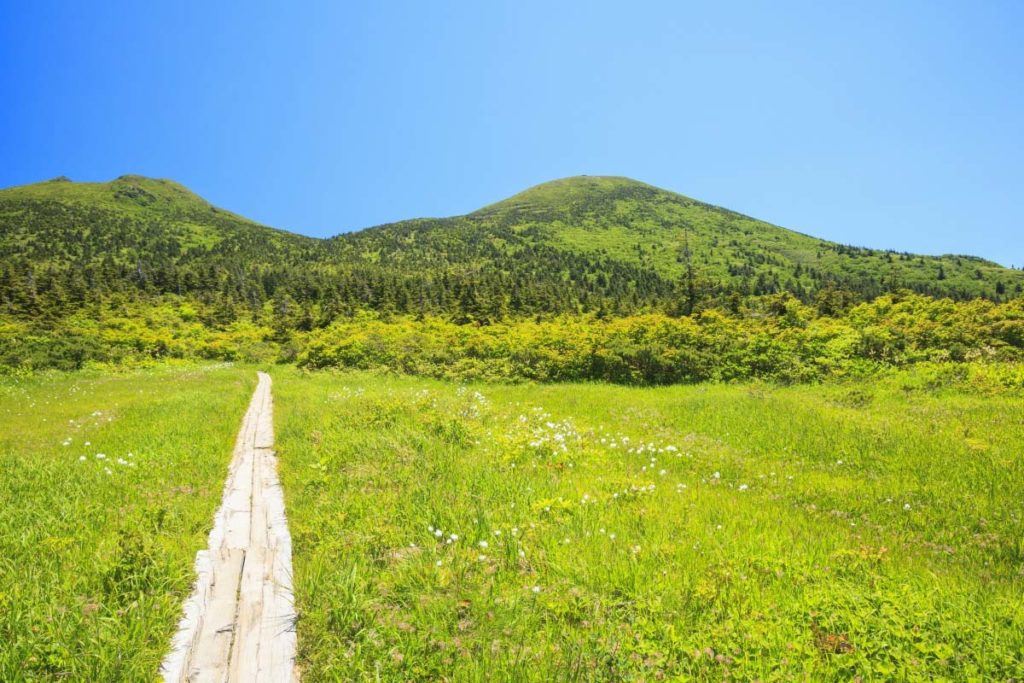 残雪と花咲く八甲田山＆奥入瀬渓流　青森満喫3日間